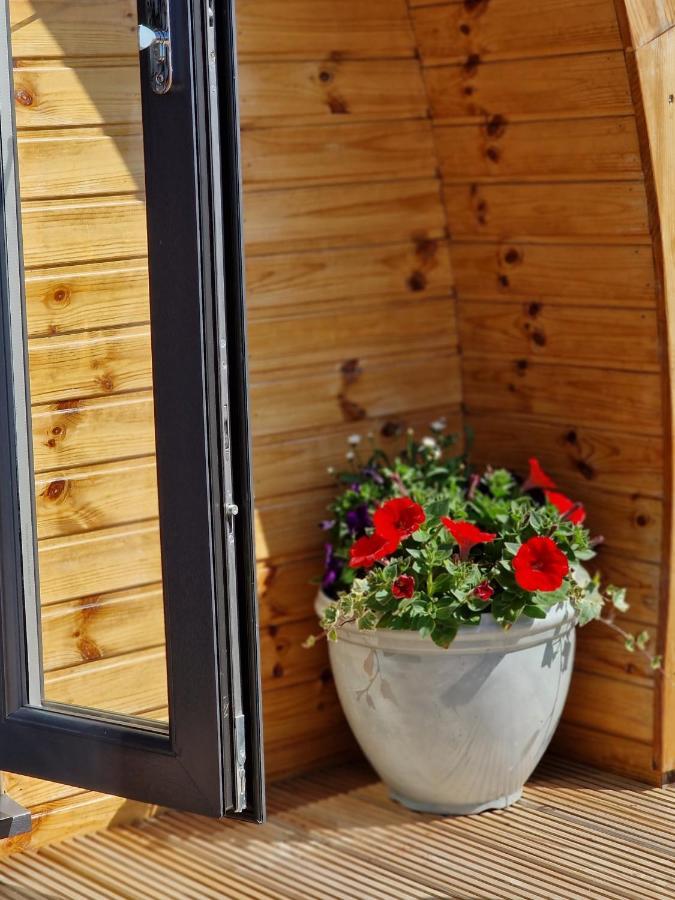 Jerusalem Farm Pods *
