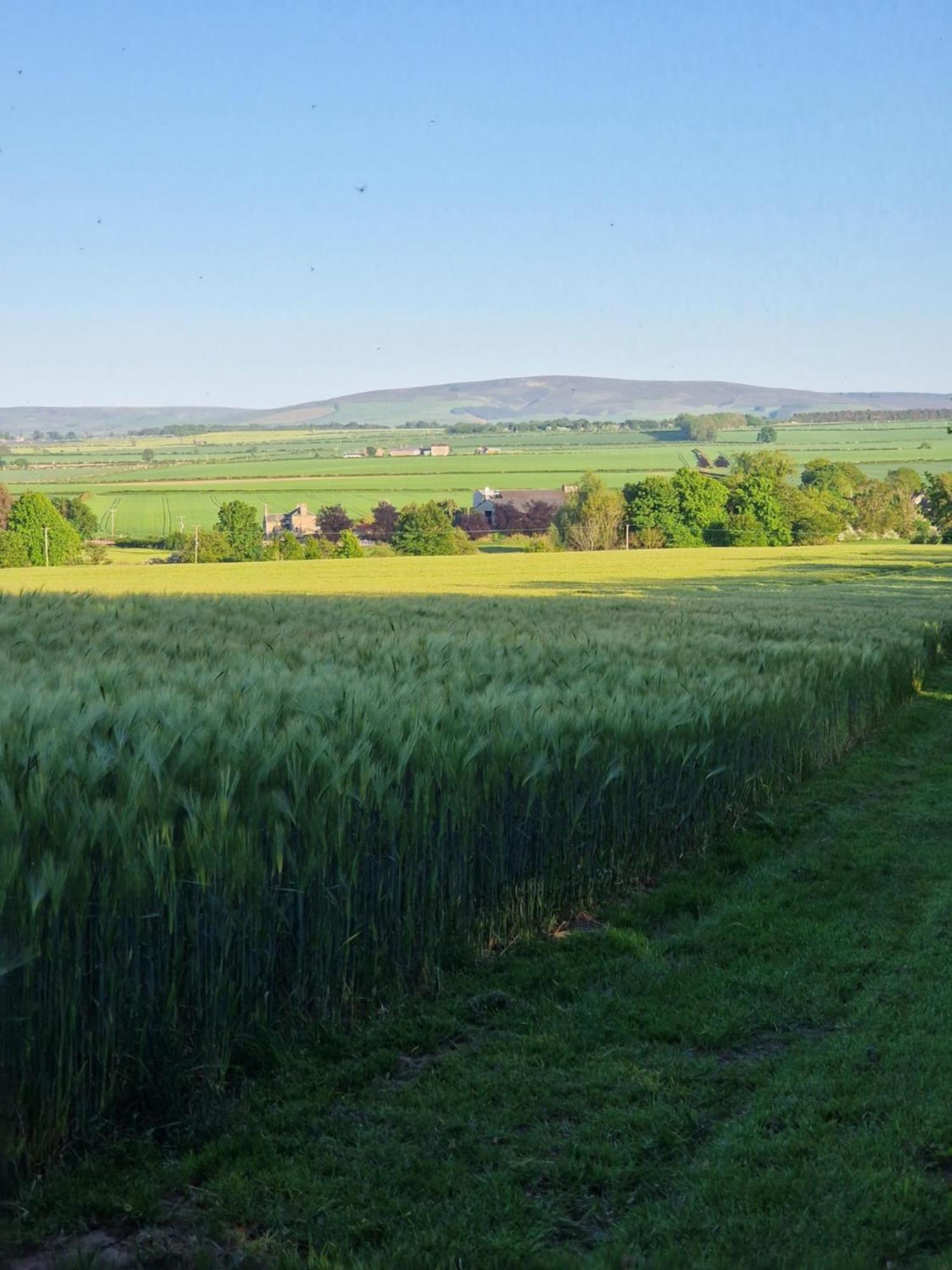 Jerusalem Farm Pods Tranent